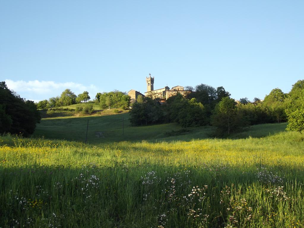 Вилла La Ciastra Ed San Michel Terenzo Экстерьер фото